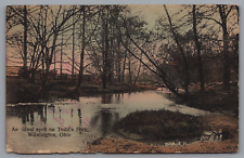 An Ideal Spot On Todd's Fork Wilmington Ohio Vintage Postcard Postmark 1909 picture