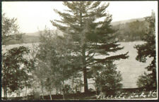View of Fairlee Lake VT Post Mills PO RPPC 1950 picture