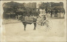 RPPC photo oxen cart sulky young boys ~ Granny to Frank LeRay Searsburg Vermont picture