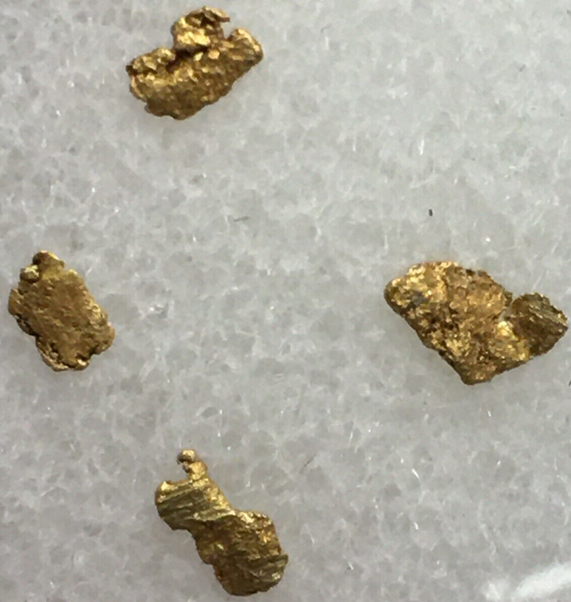 Rare Charlotte North Carolina Gold Specimen Found 1 Mile From Downtown Au01