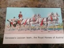 Genesee Brewery postcard Rochester vintage Beer Lipizzan Stallion horse picture