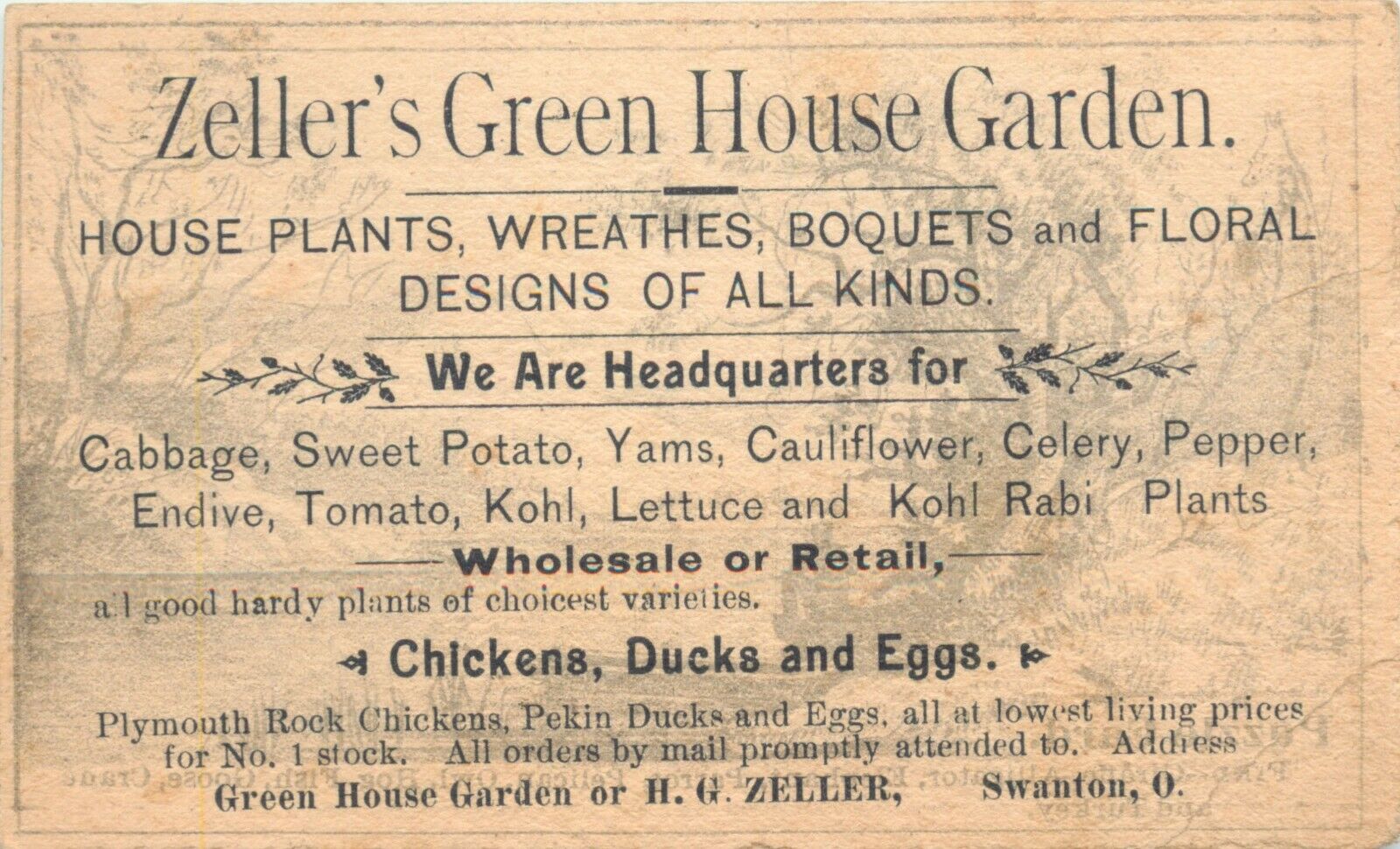 Victorian Tradecard, Zeller\'s Green House Garden, Swanton, Ohio OH 1887