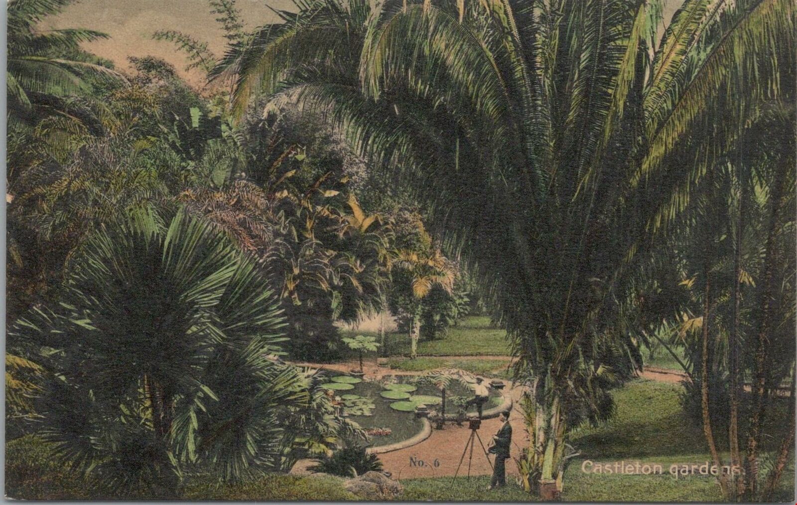 Postcard Castleton Gardens Jamaica 