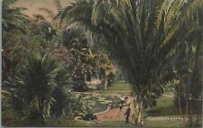 Postcard Castleton Gardens Jamaica  picture