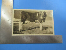Vintage Red Echo Farm Jessica Topsham VT State Champion RPPC B&W Post Card PC66 picture