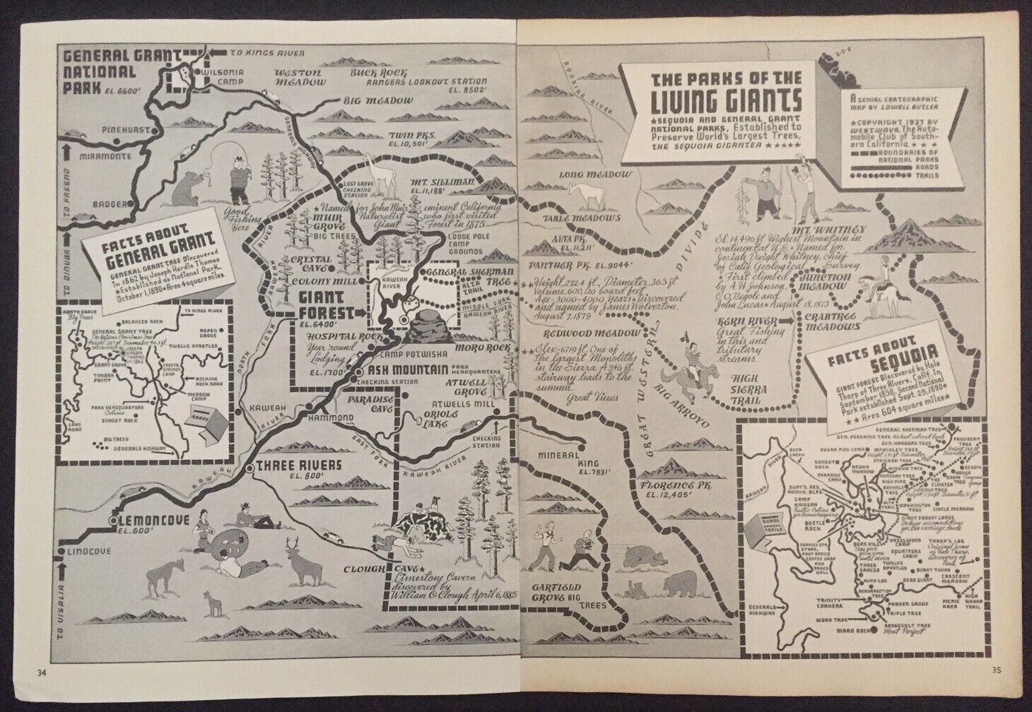 Original 1937 Pictorial Map of the Parks of the Living Giants by Lowell Butler