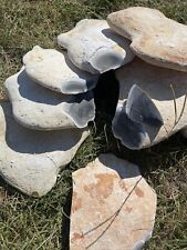 10Pounds Of High Quality Georgetown Flint Whole Rock Flint Knapping picture
