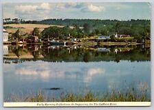 Postcard - Canada, Nova Scotia Dayspring near Lunenburg Lahave River 625 picture