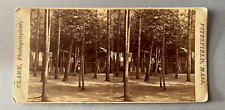 Pittsfield Massachusetts -  Early CLARK Original Stereoview of Fountain Square picture