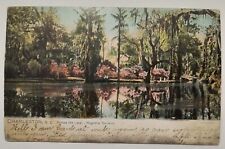 Charleston SC South Carolina Lake & Magnolia Gardens 1906 Tuck Postcard M3 picture