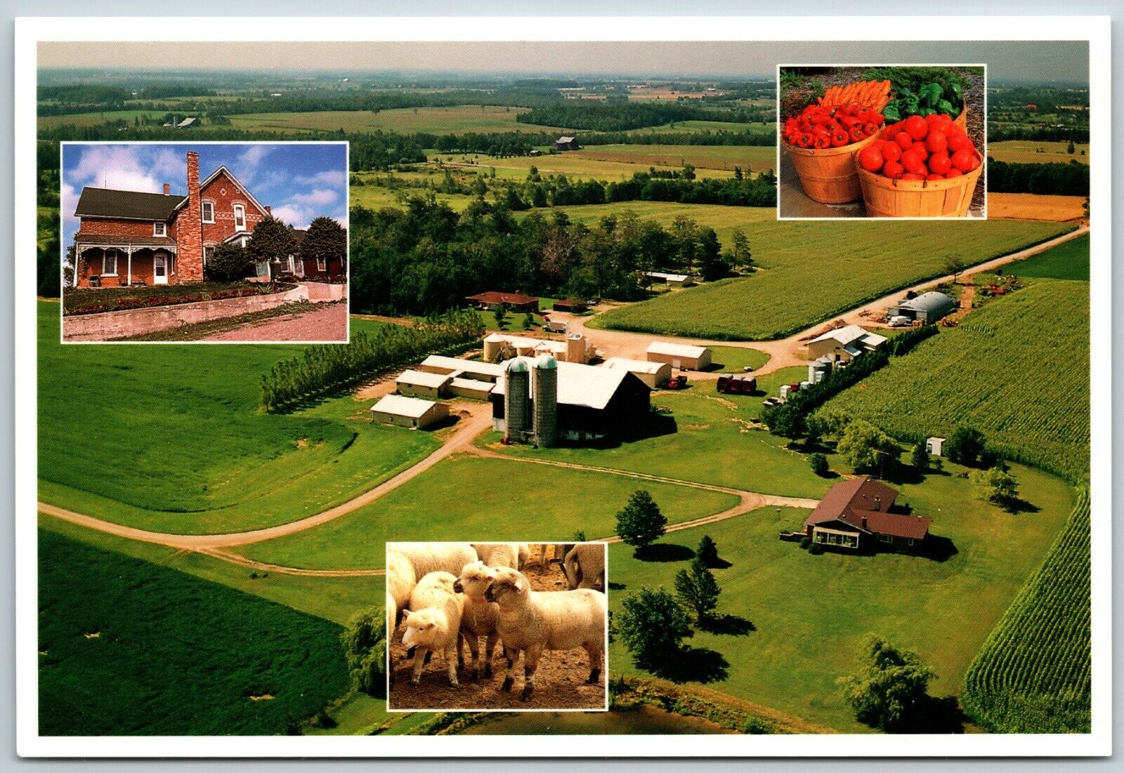 Watch Tower Farms Located 30 km From Bethel, Canada - Postcard