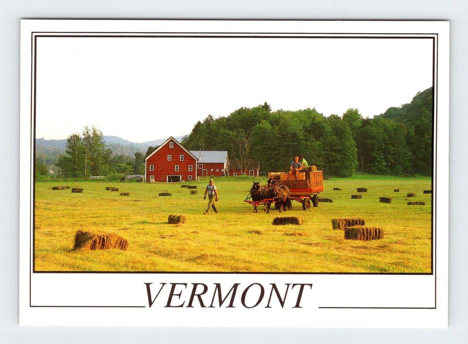 Lareau Farm Waitsfield Vermont Unused Vintage 4x6 Postcard AF404