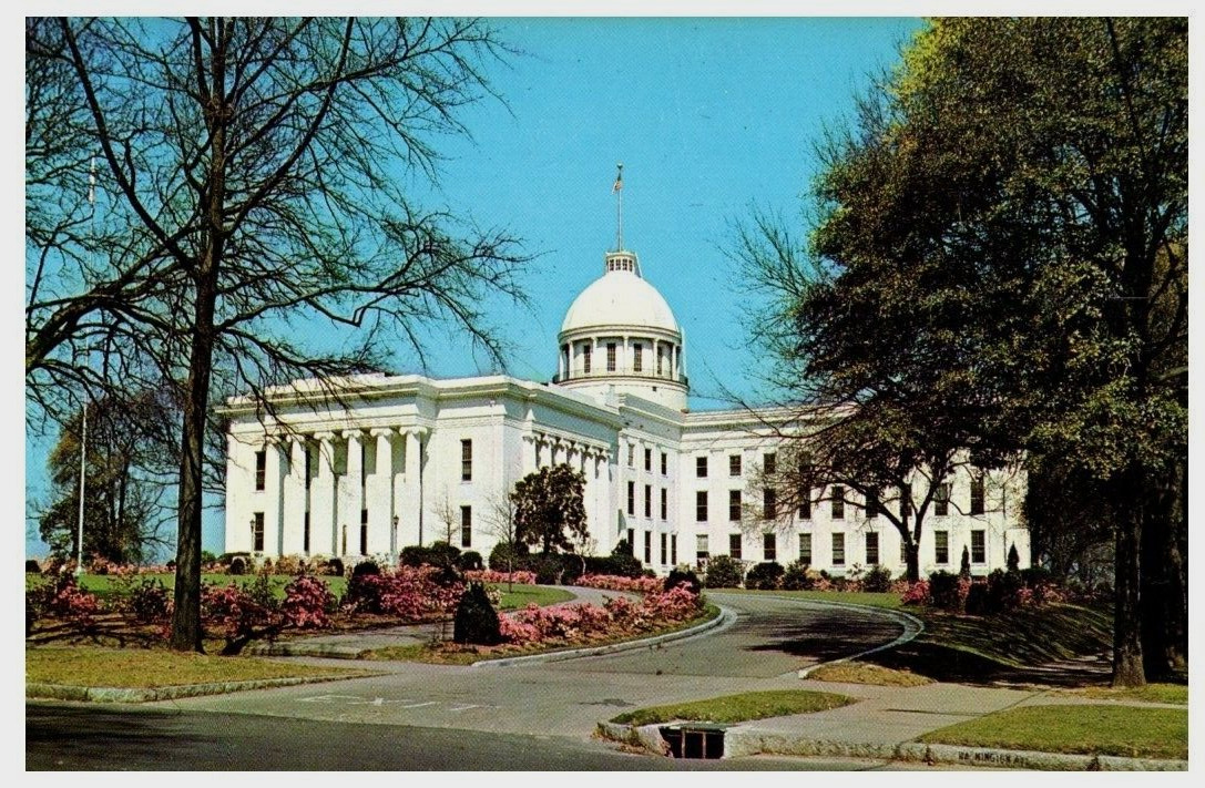 State Capitol Montgomery Alabama AL UNP Chrome Pink Camellia Postcard