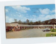 Postcard Yankee Motel Pittsfield Massachusetts USA picture