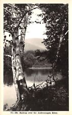 Androscoggin River-Shelburne NH to Success New Hampshire~Mt Baldknob RPPC 1920s picture