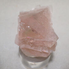 Fluorite ( Pink Octahedral Xls.,) Huanzala Mine, Huanuco Dept., Peru picture