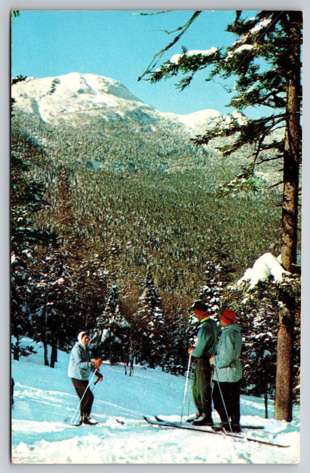Stowe Vermont Mt Mansfield Summit Skiers Skiing VT Postcard