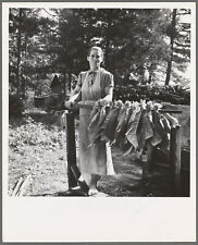 Photo 1930s Wife of farmer works stringing tobacco. Granville Co NC 57805310 picture
