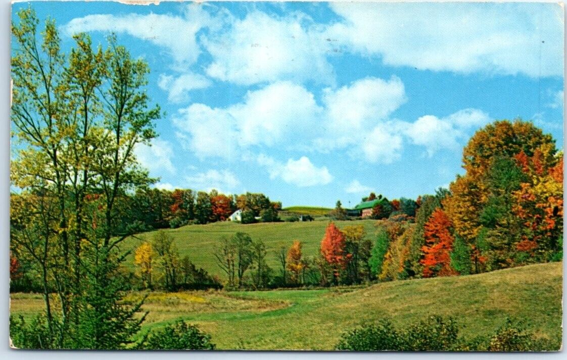 Postcard - When Autumn Steals the Scene, Topsham, Vermont, USA