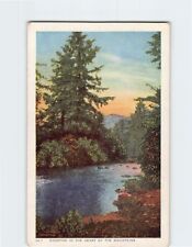 Postcard Picturesque River Scene picture