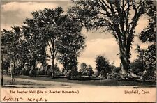 Litchfield Connecticut CT Beecher Well on Homestead 1910s b/w   picture
