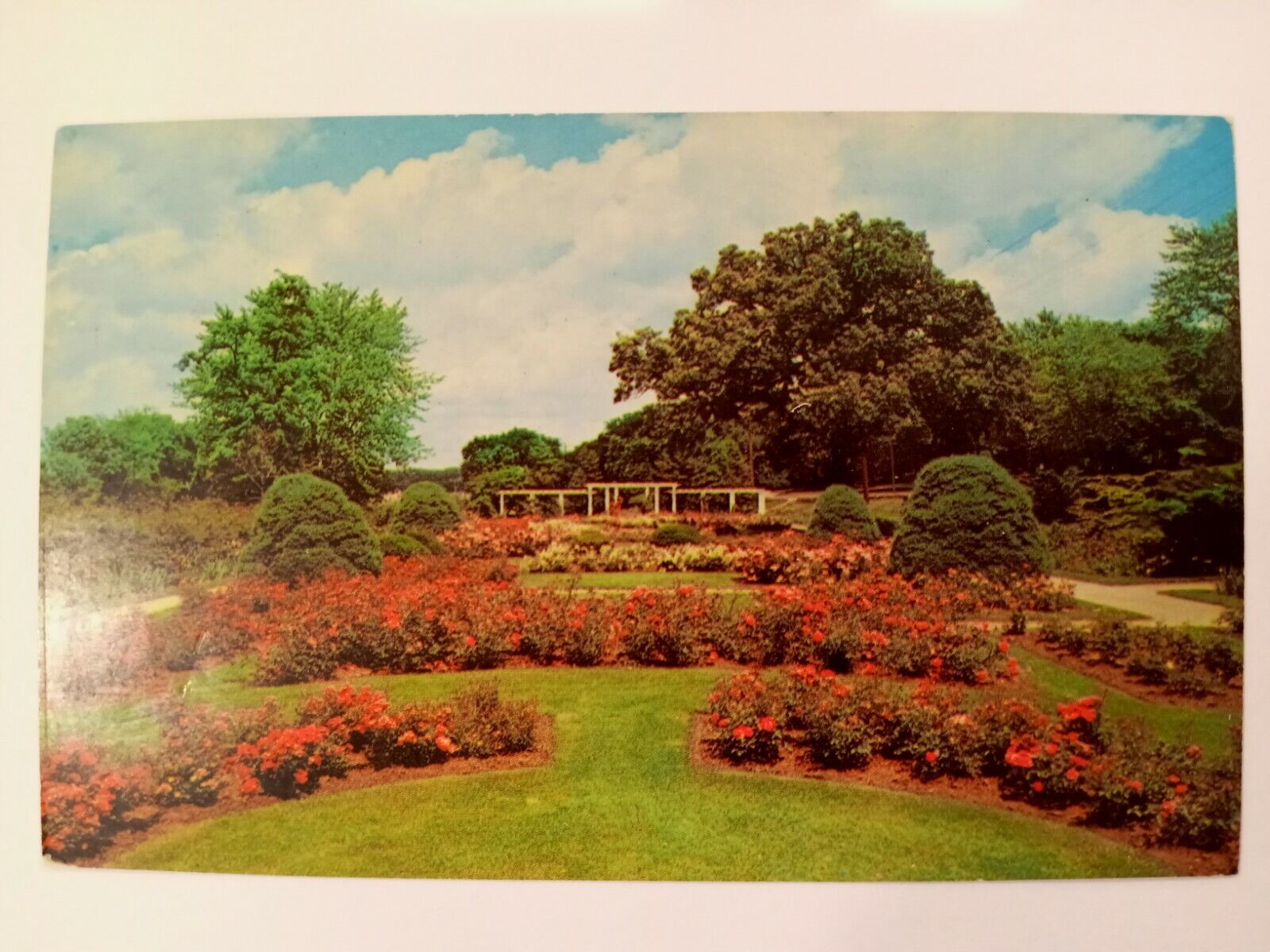Flower Beds, Sinnissippi Park, Rockford, IL, vintage 1940s 1950s postcard unsent