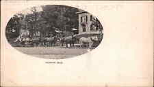 Williams or Williamsville VT Cancel Granite Team Horses c1905 Postcard picture