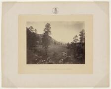 Cooley's Park,Sierra Blanca Range,Arizona,AZ,1873,Meadow,Timothy O'Sullivan picture