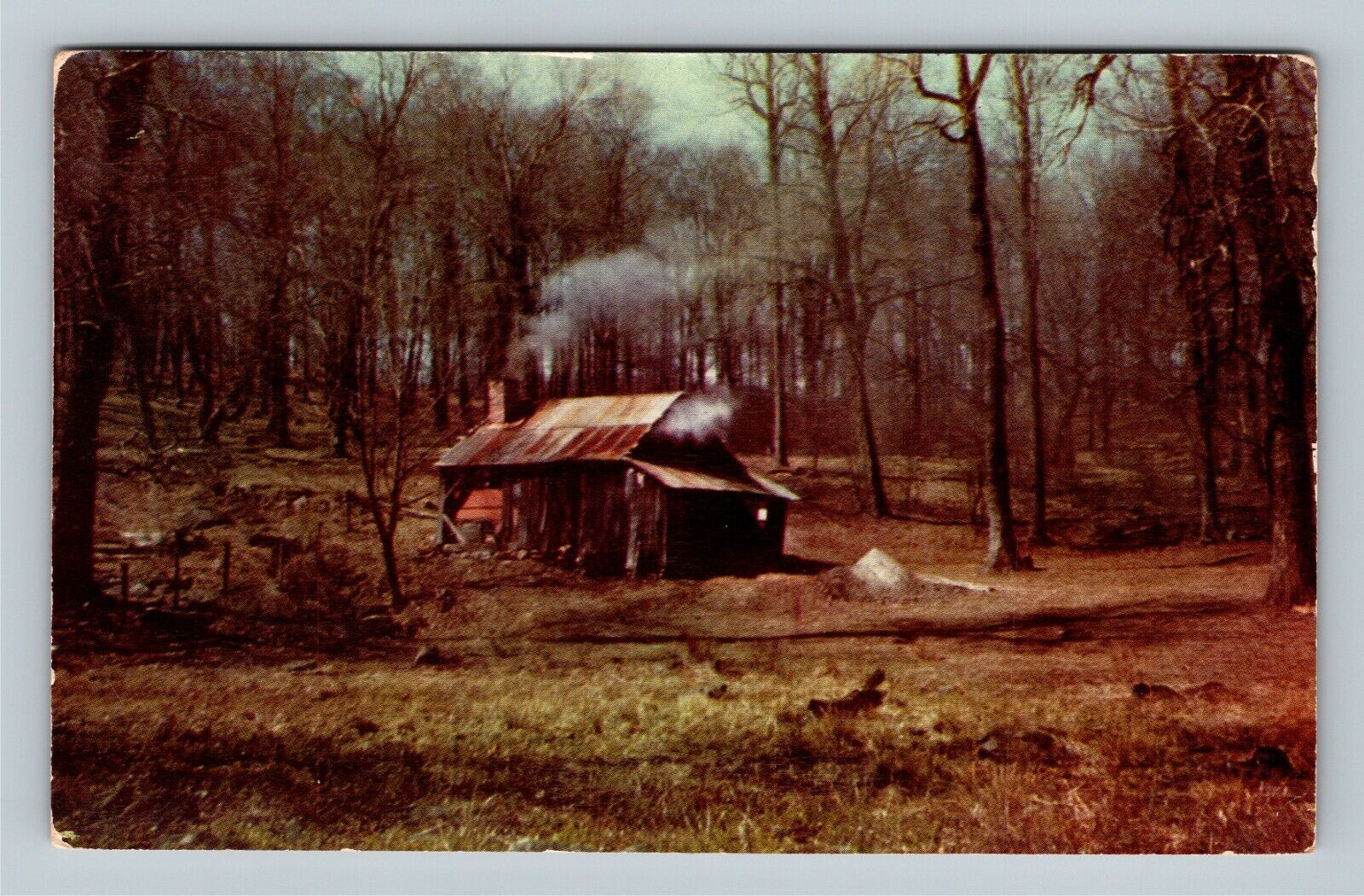 Somerset County PA, Maple Sugar Camp, Chrome Pennsylvania c1951 Postcard