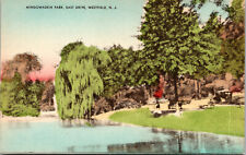 Vtg Westfield New Jersey NJ Mindowaskin Park East Drive Hand Colored Postcard picture