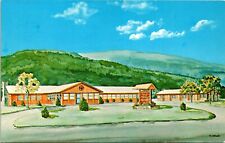 Mount Holly Lodge East Wallingford Vermont Vintage Postcard picture