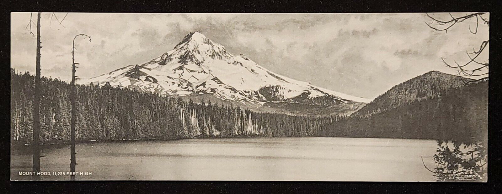 Rare Early Photo of Mt. Hood, from Lost Lake. Oregon Circa 1899 Benjamin Gifford
