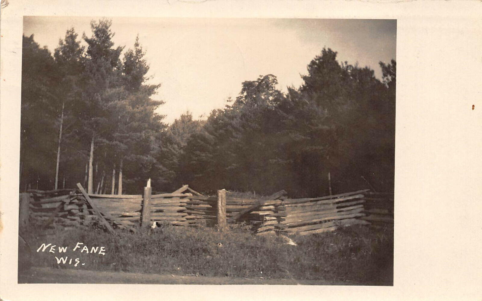 RPPC New Fane Wisconsin Horse Pen Landscape c1940 Postcard