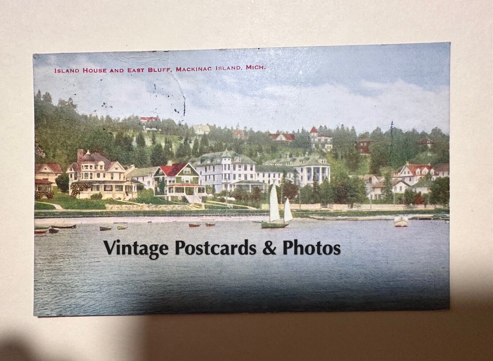Mackinac Island Michigan Island House & East Bluff 1920 Postcard