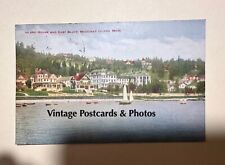 Mackinac Island Michigan Island House & East Bluff 1920 Postcard picture