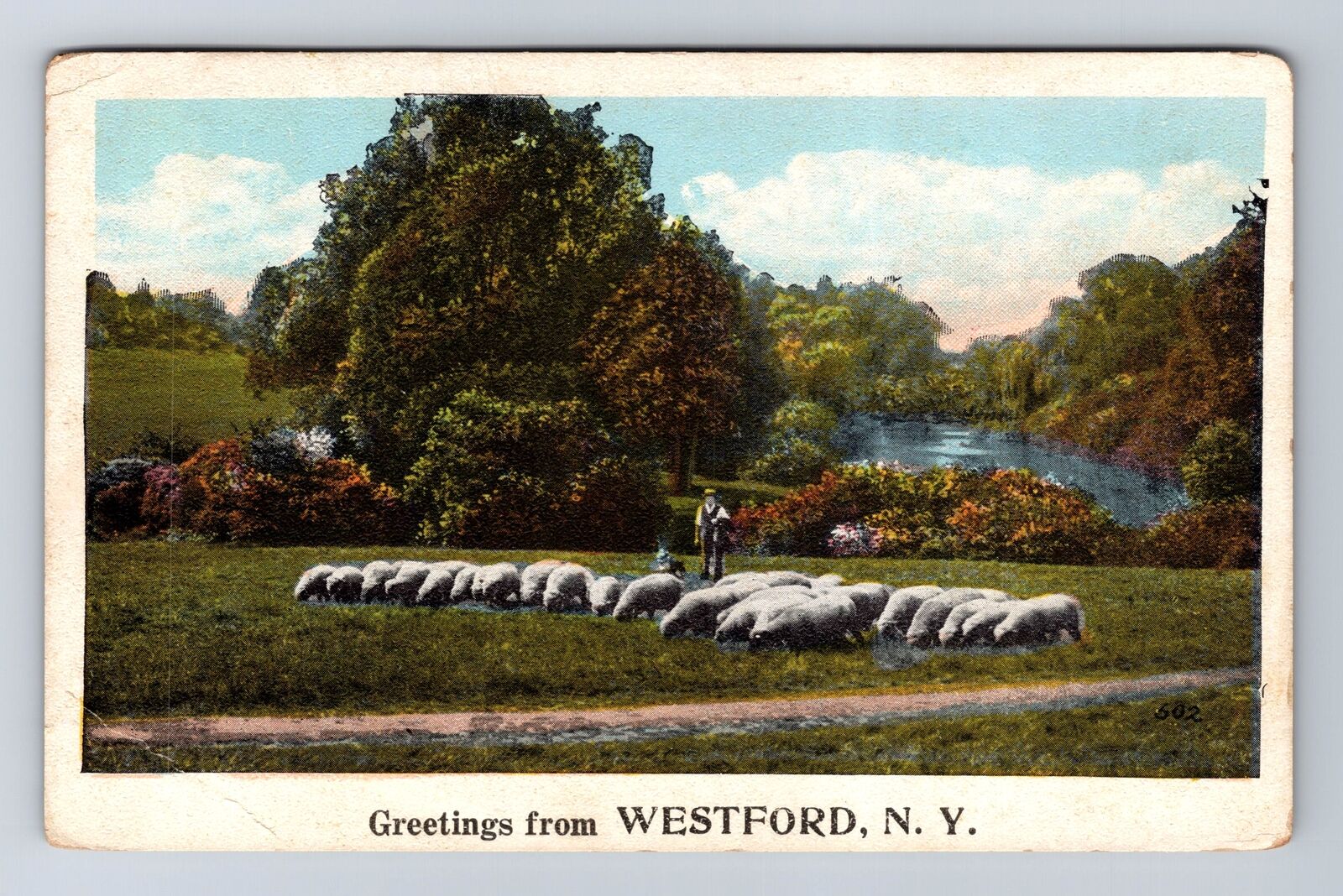 Westford NY-New York, General Greetings Sheep, Antique, Vintage c1926 Postcard