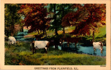 Greetings From Plainfield, Illinois postcard. picture