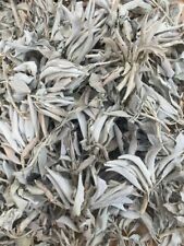 1 LB ORGANIC White Sage Smudge Leaves & Clusters  Salvia Apiana Medicinal Rare picture