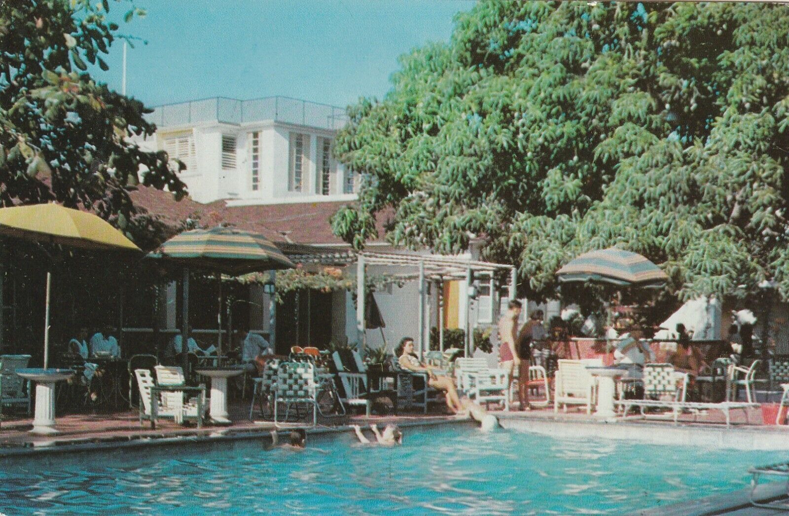 Flamingo Hotel Jamaica WI Birds Eye View Mountains Pool Resort Postcard