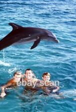 FLIPPER THE DOLPHIN BRIAN KELLY LUKE HALPIN AND TOMMY NORDON   8X10 PHOTO 4 picture