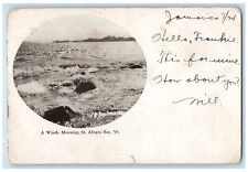 1905 A Windy Morning St. Albans Bay Vermont VT Swanton VT PMC Postcard picture