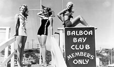  Balboa Bay Club, Newport Beach California-Larger Vintage  Photo Classic picture