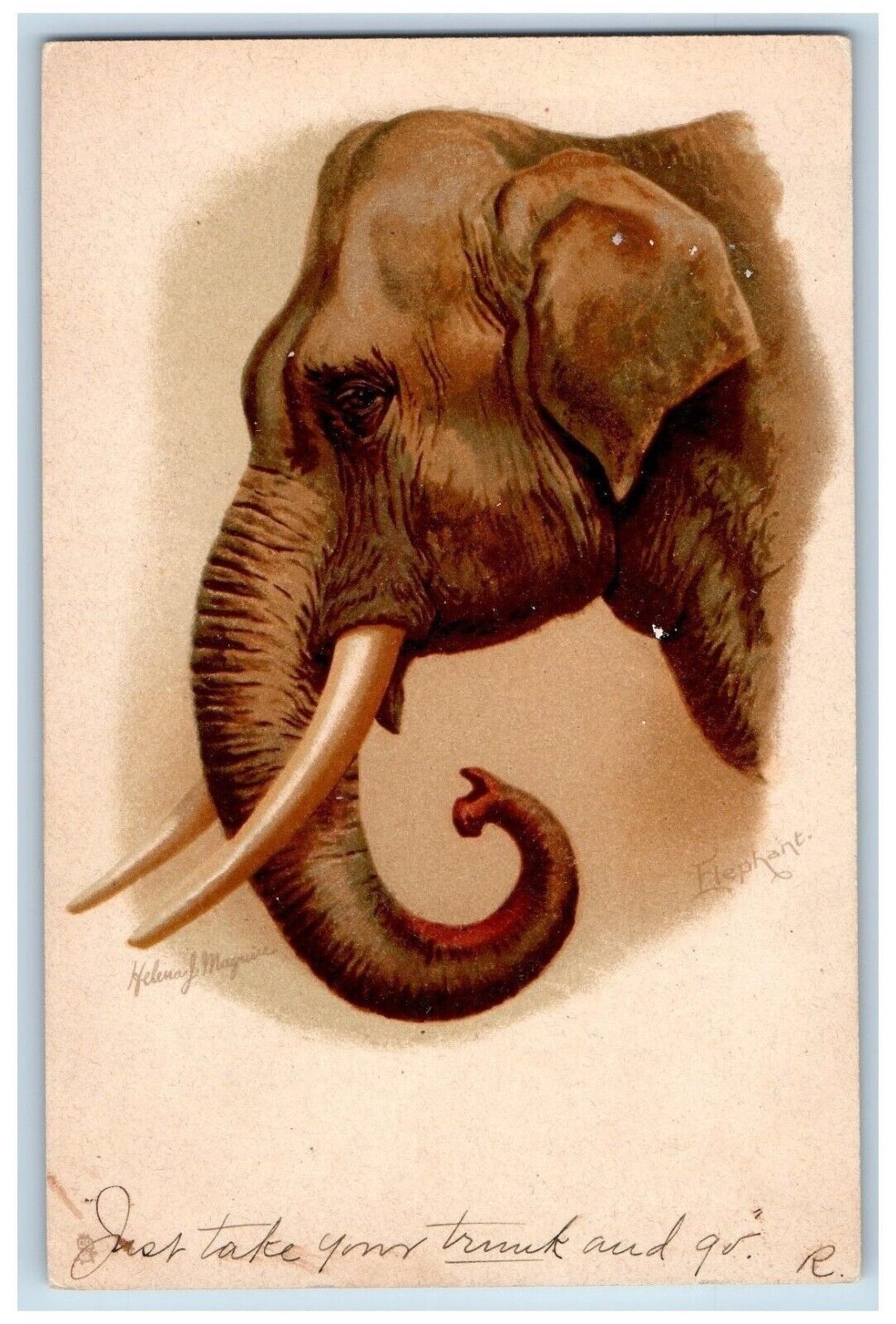 Helena Maguire Artist Signed Postcard Elephant Tuck Roxbury Massachusetts MA