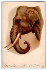 Helena Maguire Artist Signed Postcard Elephant Tuck Roxbury Massachusetts MA picture