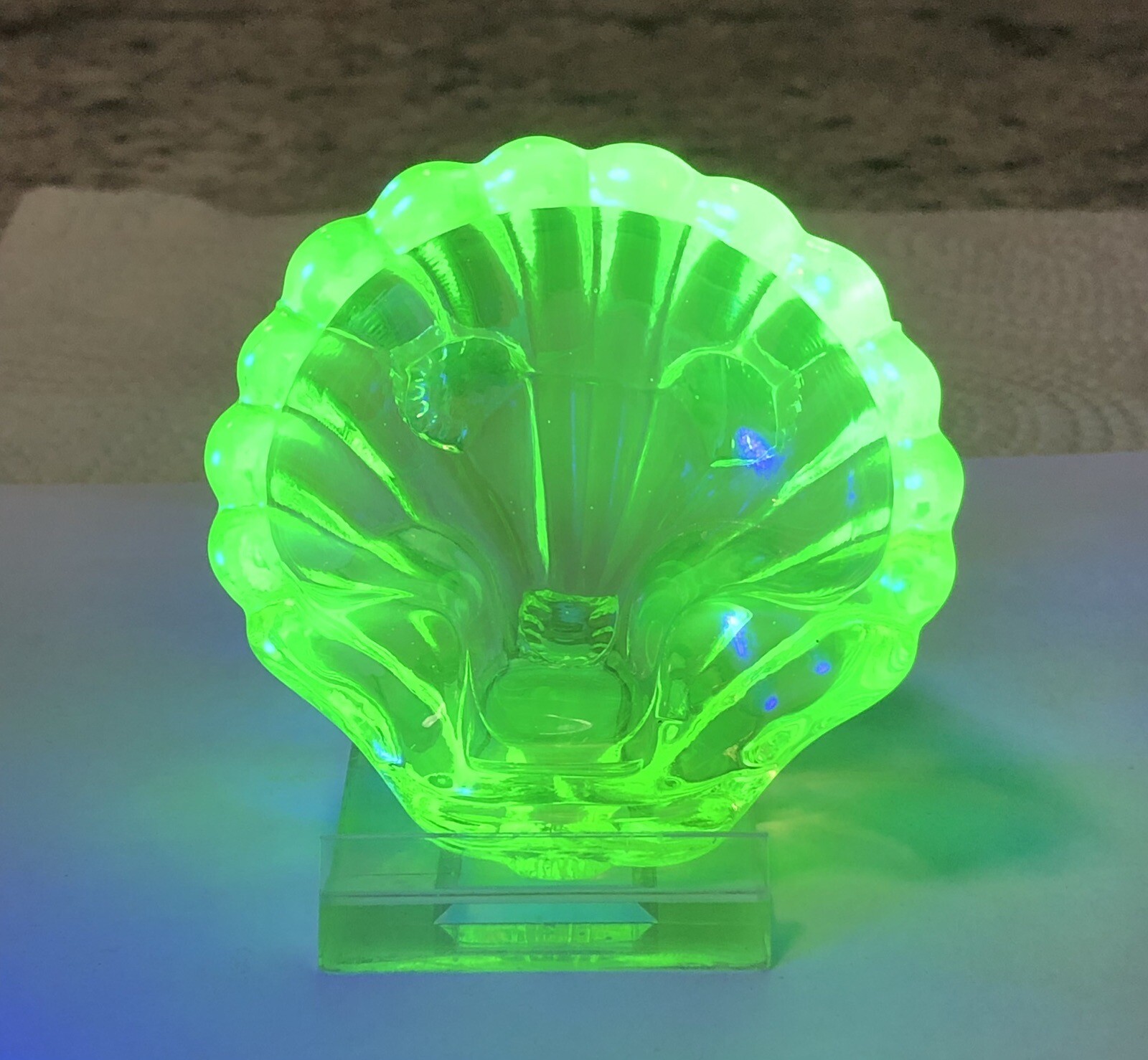 Vaseline Uranium Glass Cambridge Sea Shell Open Salt Cellar Dip Glows ...