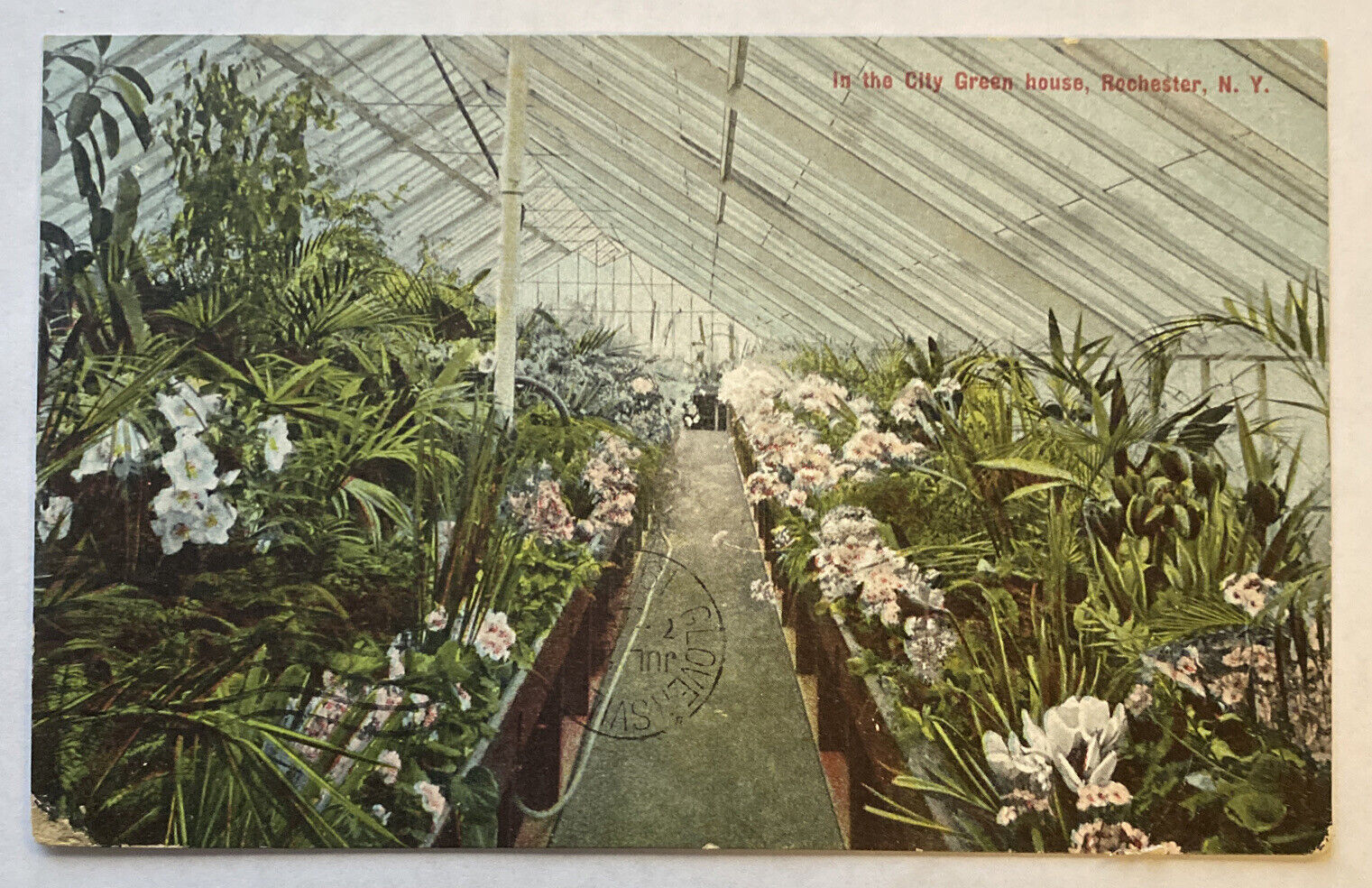 C. 1908 Postcard Rochester, NY City Green House