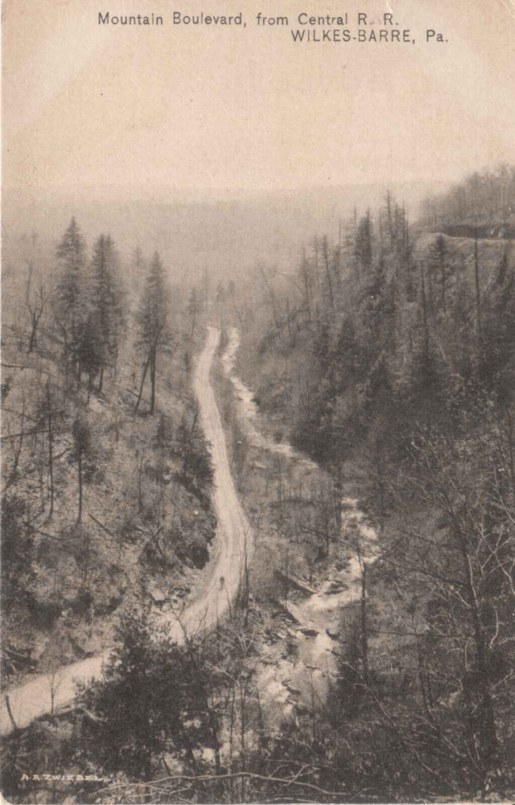 Wilkes Barre PA Pennsylvania - Mountain Boulevard - Postcard - c1908