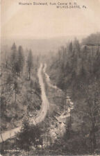 Wilkes Barre PA Pennsylvania - Mountain Boulevard - Postcard - c1908 picture