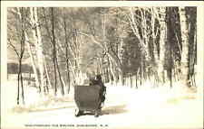 Shelburne New Hampshire NH Horse and Sleigh Shorey Studio Vintage RPPC PC picture