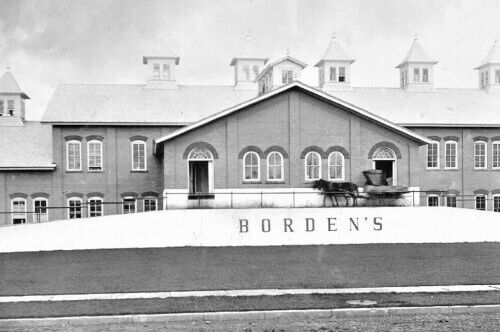 Bordens Creamery Dairy Factory Randolph New York NY 4x6 Reprint Photo